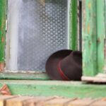 creative_sensation_photo_20231112_008