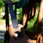 creative_sensation_photo_20231112_029