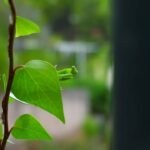 creative_sensation_photo_20231112_036