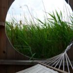 creative_sensation_photo_20231112_037