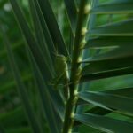 creative_sensation_photo_20231112_038