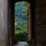 creative_sensation_photo_20231112_039