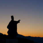 creative_sensation_photo_20231112_041