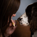 kedvencek_kepek_20241120_002_creative_sensation_photo