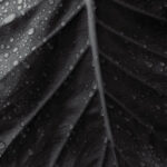 level_creativesensation_photo